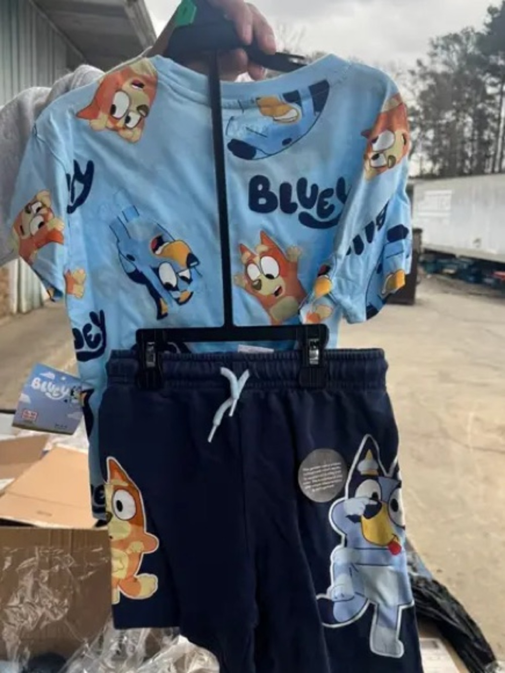 Bluey short set